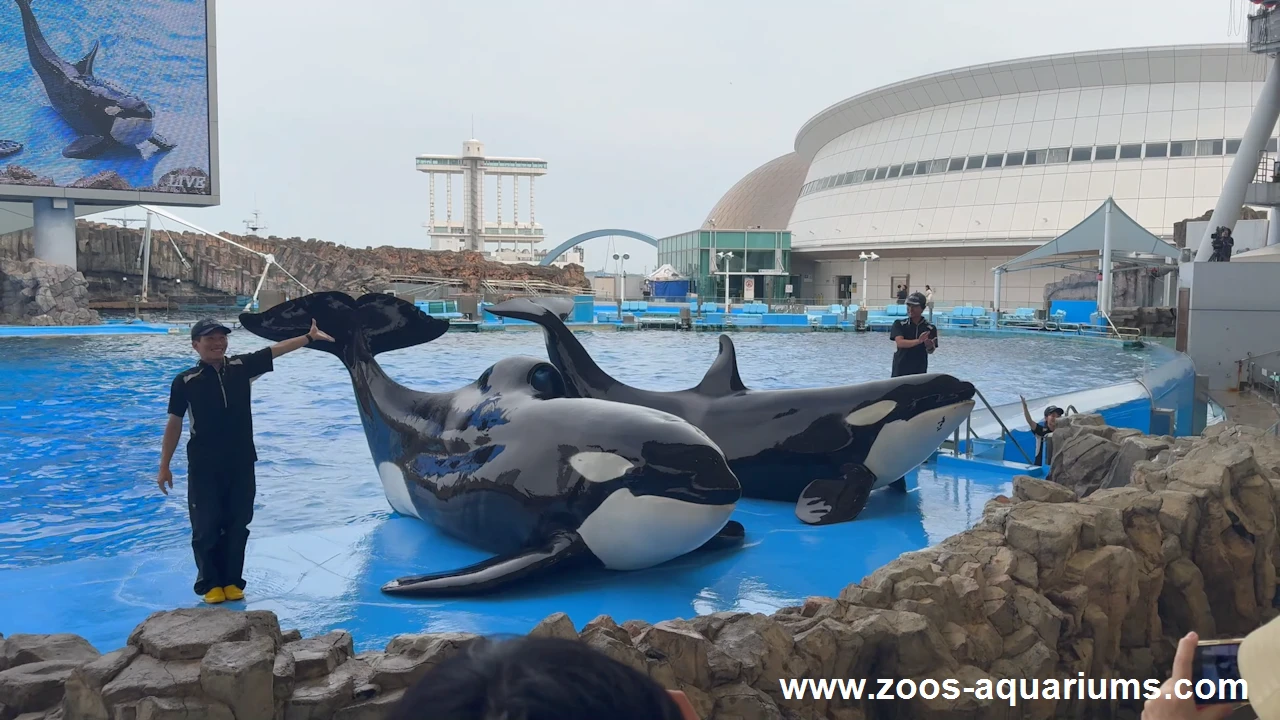 名古屋港水族館